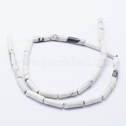 Природные Говлит бисер нитей G-K260-07A