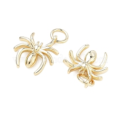 Латунные подвески&nbsp;KK-C251-23G