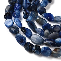 Натуральный кианитовые бисер пряди&nbsp;G-C268-A08-6x8mm