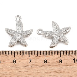 Pendentifs en alliage&nbsp;RB-CBA83D5-19P