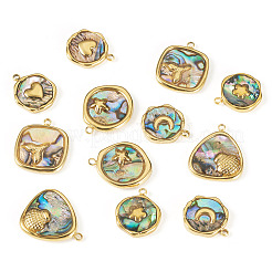 12 stücke 6 arten 304 edelstahl pflastern natürliche paua shell anhänger&nbsp;STAS-TA0005-90