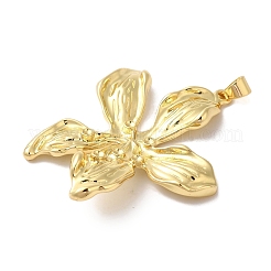 Подвески из латуни и кубического циркония KK-L216-068G