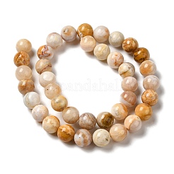 Fili di perline di agata di pizzo naturale pazzesco&nbsp;G-H298-A12-04