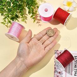 4 Rolle 4 Farben runde Nylonschnur mit chinesischem Knoten&nbsp;NWIR-FS0001-06C