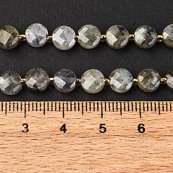 Природные лабрадорита бисер нитей G-K389-B66-01