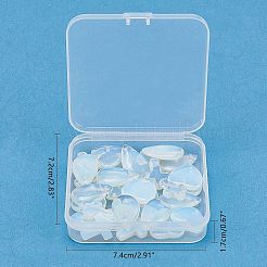 Opalite подвески G-FH0001-07