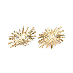 Экологичные железные подвески&nbsp;IFIN-N006-46-RS