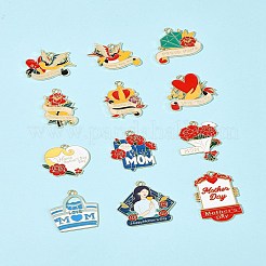 24 шт. 12 стиля подвески из сплава и эмали на тему Дня матери&nbsp;ENAM-FS0002-77