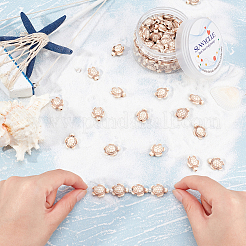 Kits para hacer pulseras elásticas de cuentas de tortuga&nbsp;DIY-SC0015-28B-D