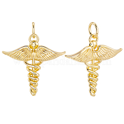 12шт латунные подвески&nbsp;KK-BBC0019-76