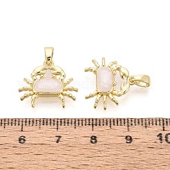 Латунь эмаль подвески&nbsp;KK-T075-93B-G