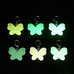 Светящиеся акриловые подвесные украшения HJEW-JM04223