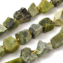 Необработанные грубые натуральные бусины серпентина G-Z087-B14