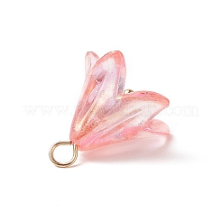 Акриловые подвески X-PALLOY-TA00023