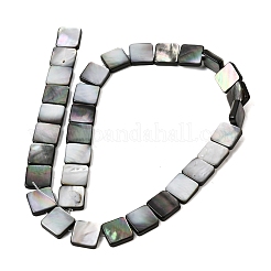 Нити бусин из натуральной черной ракушки для губ&nbsp;SHEL-A006-09B