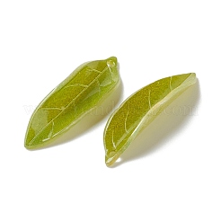 Подвески из непрозрачной смолы RESI-L035-06