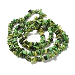 Натуральные хризопразные бисерные пряди G-G999-C01