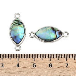 Латунные подвески-соединители из натуральной пауа-ракушки&nbsp;KK-M299-01C-P