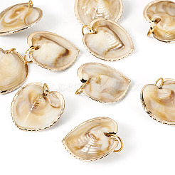 10 шт. Подвески из натуральных ракушек&nbsp;PALLOY-TAC0204