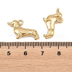 Anhänger aus Edelstahl 304&nbsp;STAS-L022-590G