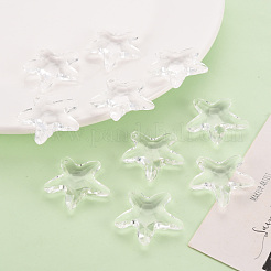 Прозрачные акриловые бусины TACR-S154-58B-205