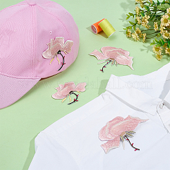 4 шт. 2 стиля полиэстеровая компьютерная вышивка ткань термоприклеиваемые/пришивные нашивки&nbsp;PATC-PH0001-56