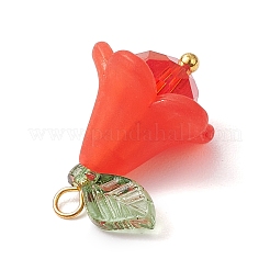 6 шт. подвески из акрила и стекла PALLOY-TA00192