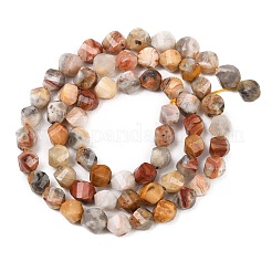 Природные сумасшедший агат бисер нитей&nbsp;G-P611-C06-01