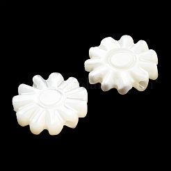 Бусины из натуральных трохоидных/трохус ракушек SSHEL-R145-01