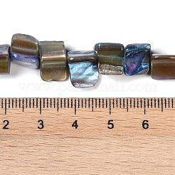 染め天然淡水シェルビーズ連売り  ナゲット  スチールブルー  7.5~9x9.5~15x5~9mm  穴：0.9mm  約42~50個/連  14.45''~14.76''（36.7~37.5センチメートル）&nbsp;SHEL-P016-01B