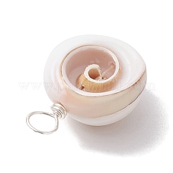 Pendenti avvolti in filo di rame naturale conchiglia occhio di shiva&nbsp;PALLOY-JF02680-02