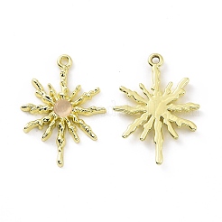 Подвески для кошачьего глаза из сплава PALLOY-D007-08G-B