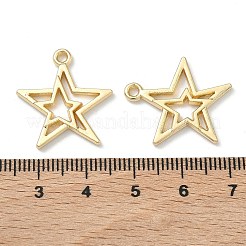 Подвески из сплава &nbsp;PALLOY-A025-03A-G