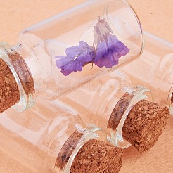 透明なガラスの瓶コルクと鉄のスクリューアイピンを持つガラス瓶は工芸品のための瓶を願う  約8個/セット&nbsp;AJEW-PH0004-01