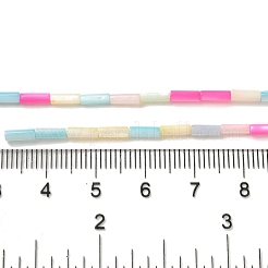 Brins de perles de coquillage d'eau douce naturelles teintes en couleur arc-en-ciel&nbsp;X1-SHEL-G018-02A