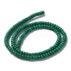 Fili di perline howlite naturale&nbsp;G-E604-H01-C