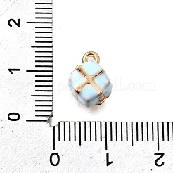 Alliage de zinc breloques d'émail&nbsp;FIND-U029-01G-02