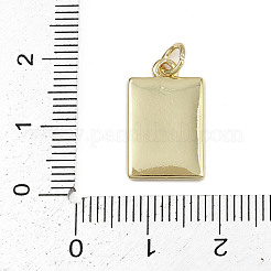 Латунь эмаль подвески&nbsp;LS-KK-D409-28G