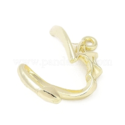 Подвески из сплава  PALLOY-R151-14G