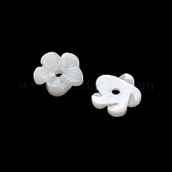 Natürlichen weißen Muschelperlen&nbsp;SH-CBA93AD-07A