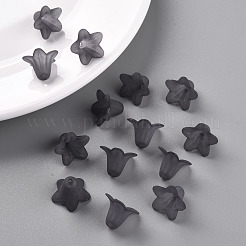 Прозрачные акриловые бусины&nbsp;PLF018-17