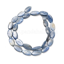 Натуральный кианитовые бисер пряди&nbsp;G-H335-D01-8x15mm