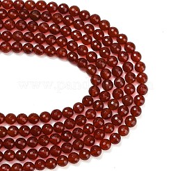 Природного сердолика нитей бисера&nbsp;G-C280-B10-10mm