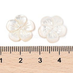 Резные бусины из натуральной белой ракушки SSHEL-I026-12F-07