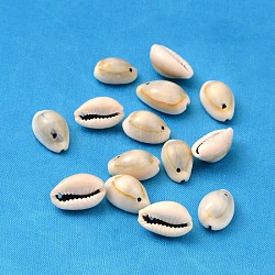 Perles de coquillage cauri naturelles, teinte, couleur de coquillage, taille: environ 18~20 mm de long,  largeur de 13~14 mm, épaisseur de 6~8mm, Trou: 2mm