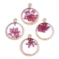 Transparent Clear Epoxy Resin & Dried Flower Pendants, with Edge Light Gold Plated Iron Loops, Flat Round, Camellia, 24x20x2.5mm, Hole: 1.8mm