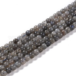 Chapelets de perles en labradorite naturelle , ronde, 4~4.5mm, Trou: 0.7mm, 15.43'' (39.2 cm), 97 pcs / chapelet