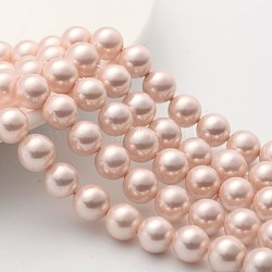 Chapelets de perles de coquille, Grade a, polie, ronde, rose, 10mm, Trou: 0.8~1.0mm, Environ 38 pcs/chapelet