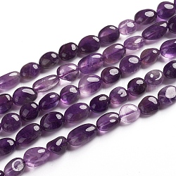 Chapelets de perles en améthyste naturelle, pierre roulée, pépites, 6.5~9.5x5.5~7.5x3.5~5.5mm, Trou: 0.8mm, Environ 50 pcs/chapelet, 15.67 pouce (39.8 cm)