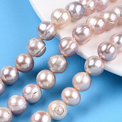 Fili di perle di perle d'acqua dolce coltivate naturali, patata, rosa nebbiosa, 10.5~12x9.5~12.5mm, Foro: 0.6 mm, circa 32~33pcs/filo, 13.78~13.98 pollice (35~35.5 cm)
